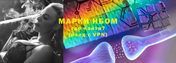 ГАЛЛЮЦИНОГЕННЫЕ ГРИБЫ Аркадак