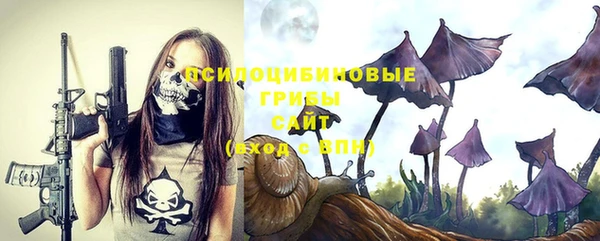 ГАЛЛЮЦИНОГЕННЫЕ ГРИБЫ Аркадак